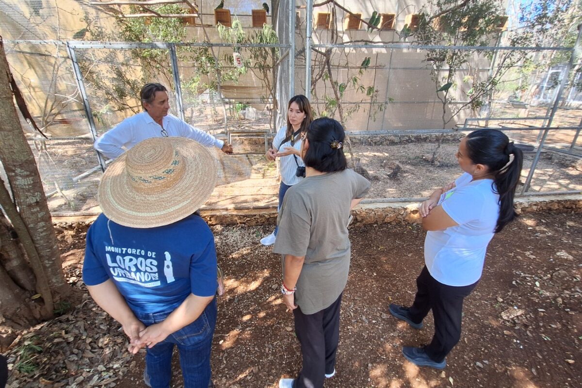 WORLD PARROT TRUST RECONOCE EL TRABAJO DE PROYECTO SANTA MARÍA