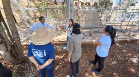 WORLD PARROT TRUST RECONOCE EL TRABAJO DE PROYECTO SANTA MARÍA