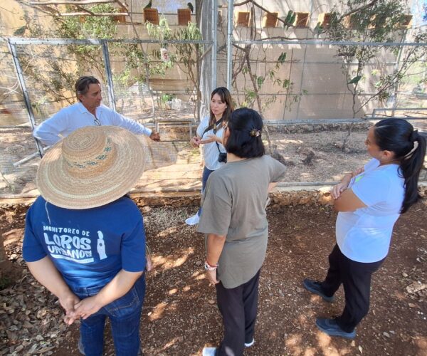 WORLD PARROT TRUST RECONOCE EL TRABAJO DE PROYECTO SANTA MARÍA