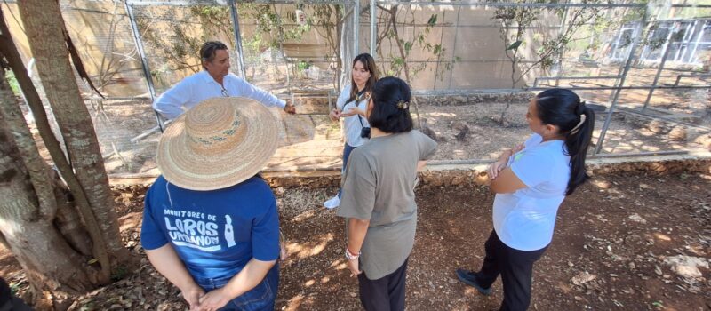 WORLD PARROT TRUST RECONOCE EL TRABAJO DE PROYECTO SANTA MARÍA