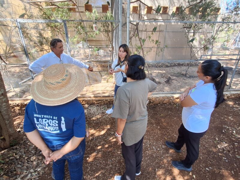 WORLD PARROT TRUST RECONOCE EL TRABAJO DE PROYECTO SANTA MARÍA