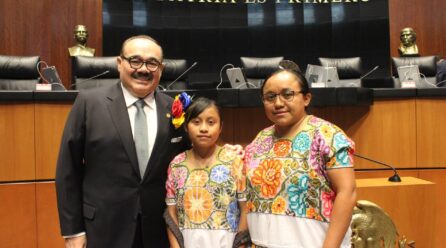 MAYAHABLANTE LLEVA SU VOZ AL SENADO