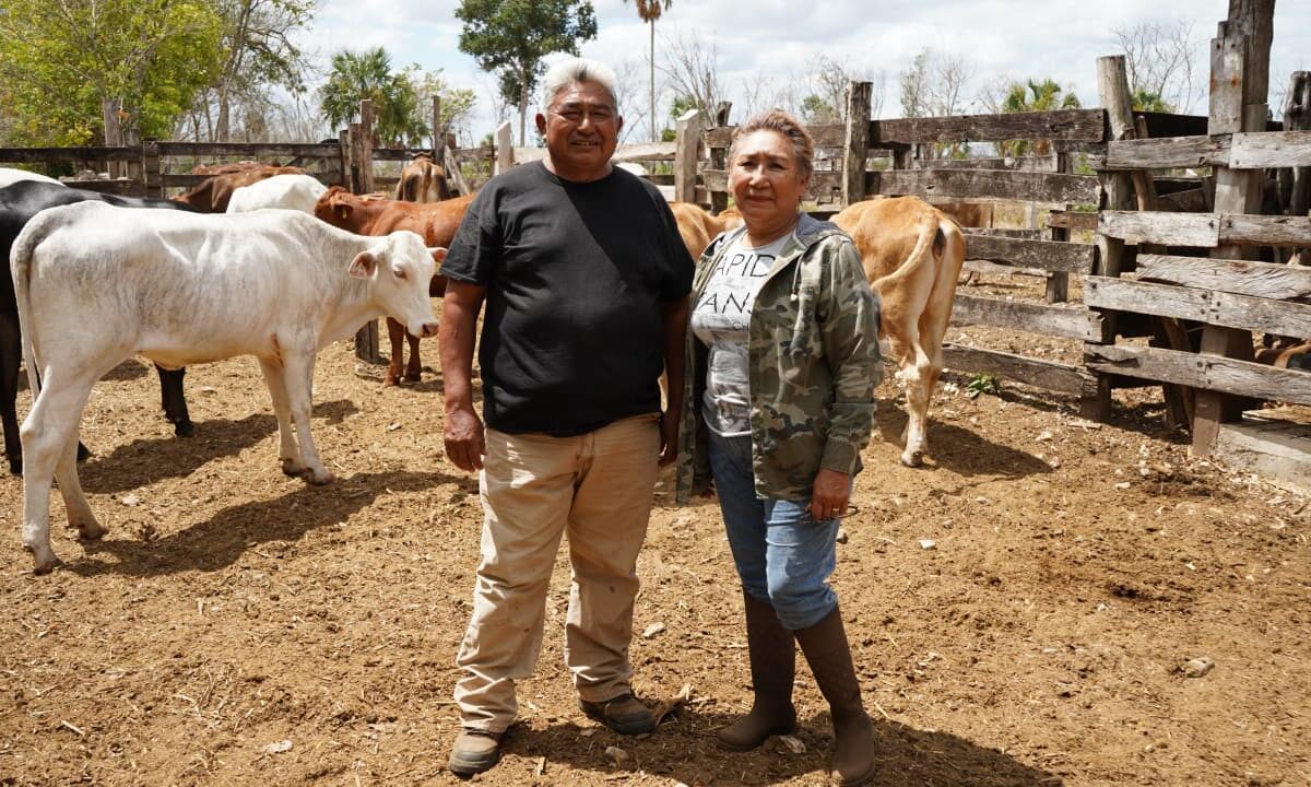 EL RESCATE DE VIENTRES FORTALECE A LA GANADERÍA