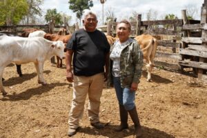 EL RESCATE DE VIENTRES FORTALECE A LA GANADERÍA