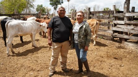 EL RESCATE DE VIENTRES FORTALECE A LA GANADERÍA