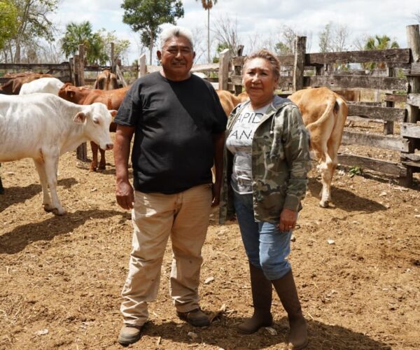 EL RESCATE DE VIENTRES FORTALECE A LA GANADERÍA