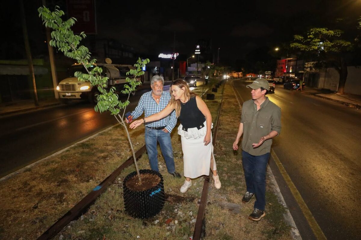 AYUNTAMIENTO INSTALA SISTEMA AIR-POT