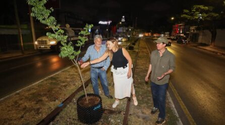 AYUNTAMIENTO INSTALA SISTEMA AIR-POT