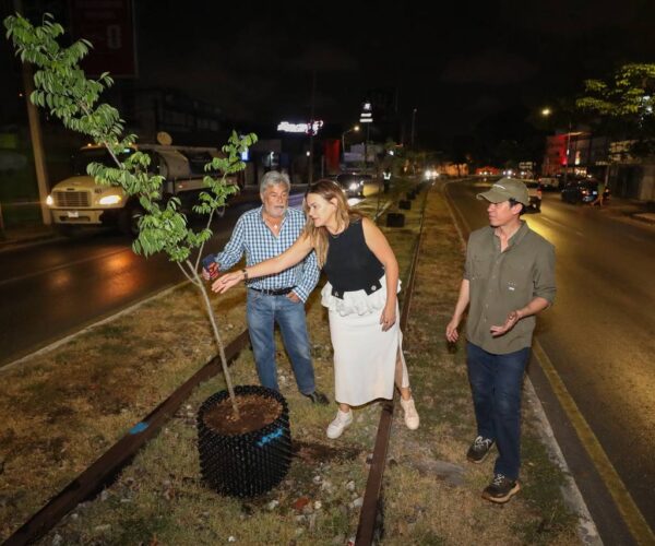 AYUNTAMIENTO INSTALA SISTEMA AIR-POT