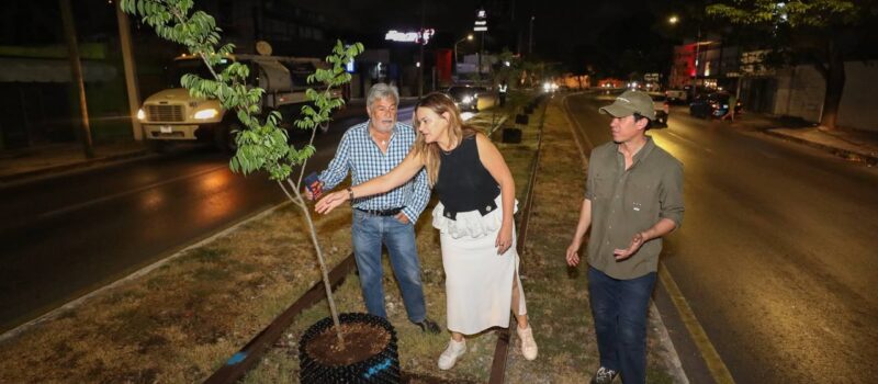 AYUNTAMIENTO INSTALA SISTEMA AIR-POT
