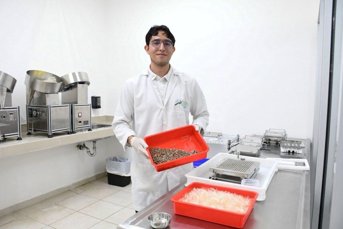 SOLO NUEVE CASOS DE DENGUE REGISTRADOS EN YUCATÁN