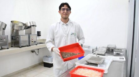 SOLO NUEVE CASOS DE DENGUE REGISTRADOS EN YUCATÁN