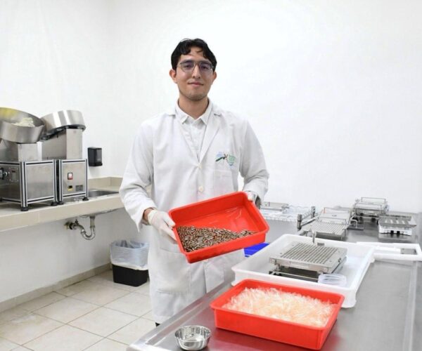 SOLO NUEVE CASOS DE DENGUE REGISTRADOS EN YUCATÁN
