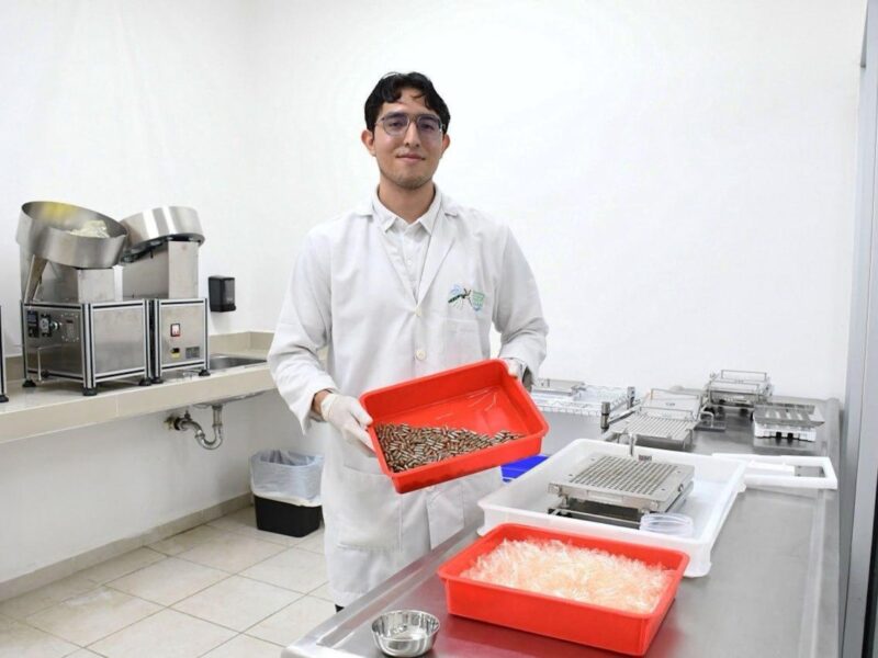 SOLO NUEVE CASOS DE DENGUE REGISTRADOS EN YUCATÁN
