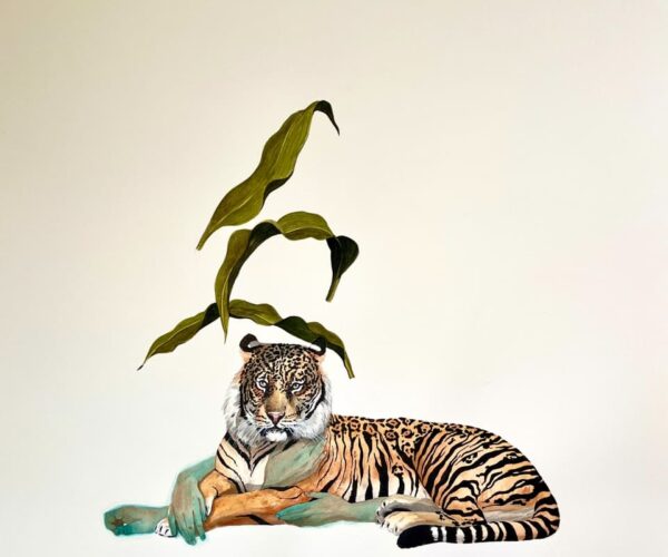 CACHORROS DE TIGRE YA ESTÁ EN YUCATÁN