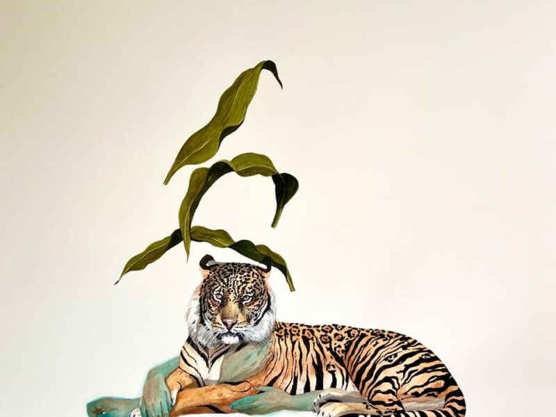 CACHORROS DE TIGRE YA ESTÁ EN YUCATÁN
