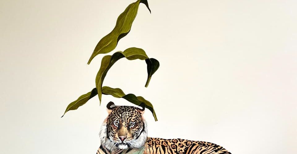 CACHORROS DE TIGRE YA ESTÁ EN YUCATÁN