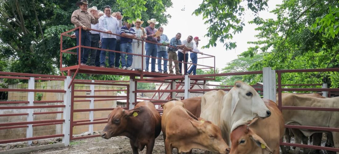 GOBERNADOR ENTREGÓ APOYOS DEL RENACIMIENTO AGROPECUARIO