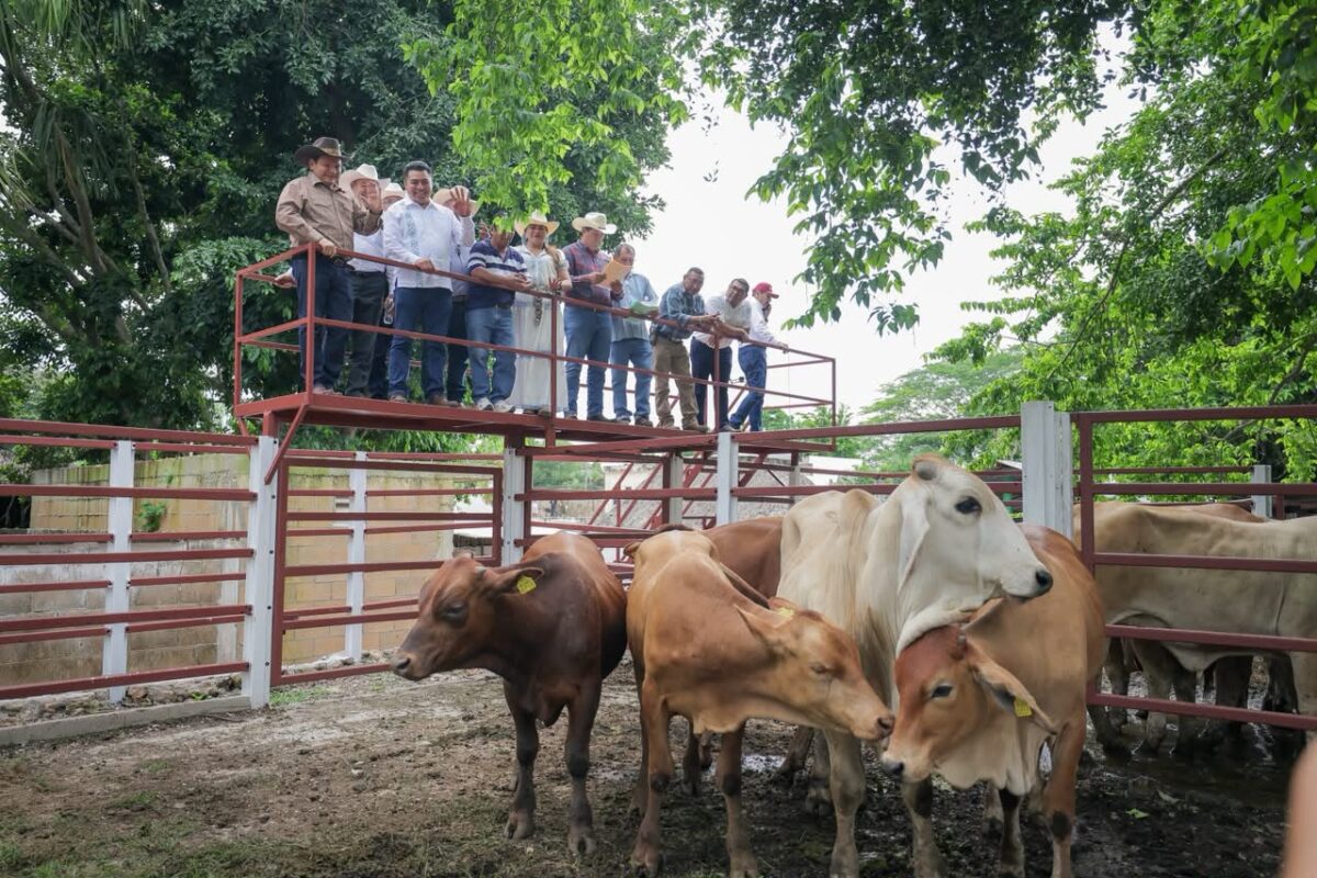 GOBERNADOR ENTREGÓ APOYOS DEL RENACIMIENTO AGROPECUARIO