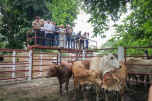 GOBERNADOR ENTREGÓ APOYOS DEL RENACIMIENTO AGROPECUARIO