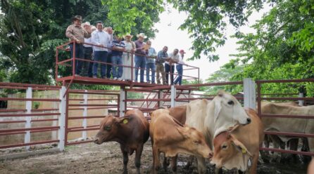 GOBERNADOR ENTREGÓ APOYOS DEL RENACIMIENTO AGROPECUARIO