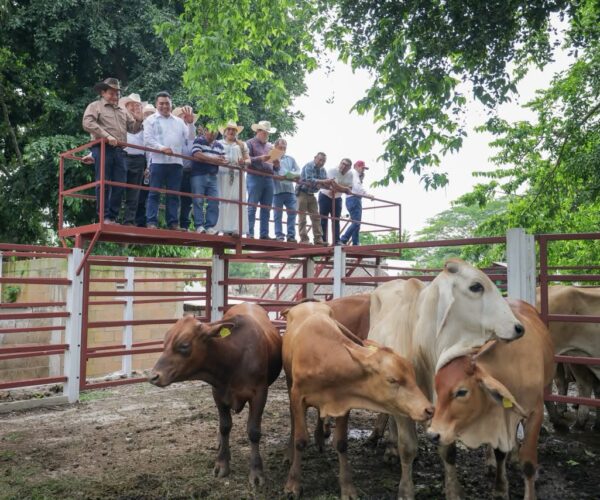 GOBERNADOR ENTREGÓ APOYOS DEL RENACIMIENTO AGROPECUARIO