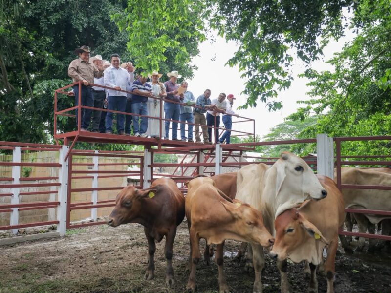 GOBERNADOR ENTREGÓ APOYOS DEL RENACIMIENTO AGROPECUARIO