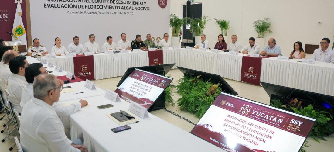YUCATÁN TIENE UNA COSTA QUE NOS DA IDENTIDAD, ALIMENTO Y TRABAJO: JDM