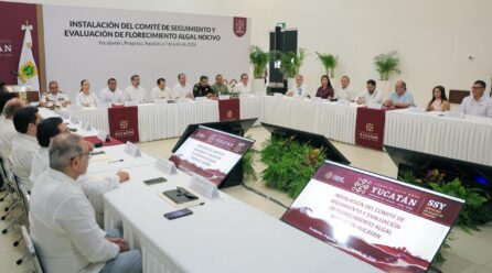 YUCATÁN TIENE UNA COSTA QUE NOS DA IDENTIDAD, ALIMENTO Y TRABAJO: JDM