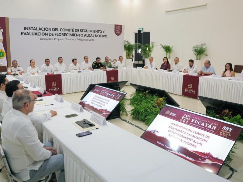 YUCATÁN TIENE UNA COSTA QUE NOS DA IDENTIDAD, ALIMENTO Y TRABAJO: JDM