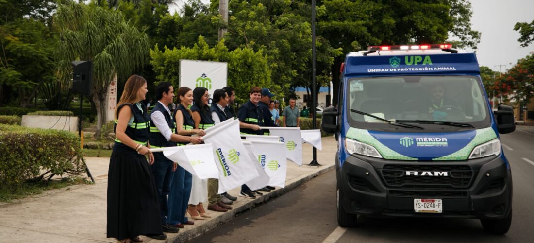 MALTRATO ANIMAL BAJO LA LUPA DEL AYUNTAMIENTO