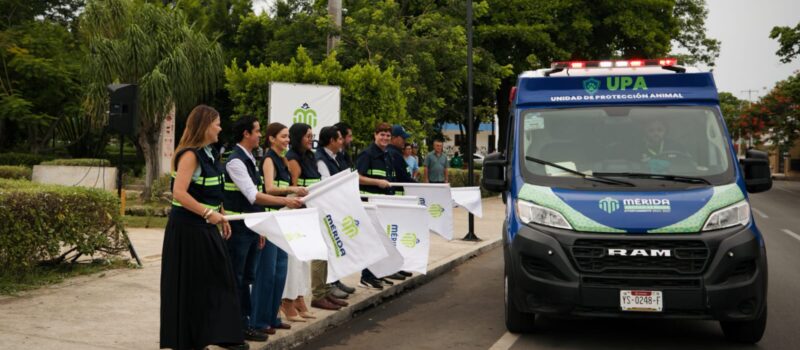 MALTRATO ANIMAL BAJO LA LUPA DEL AYUNTAMIENTO