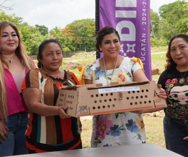 SEGURIDAD ALIMENTARIA CON PROYECTOS PRODUCTIVOS