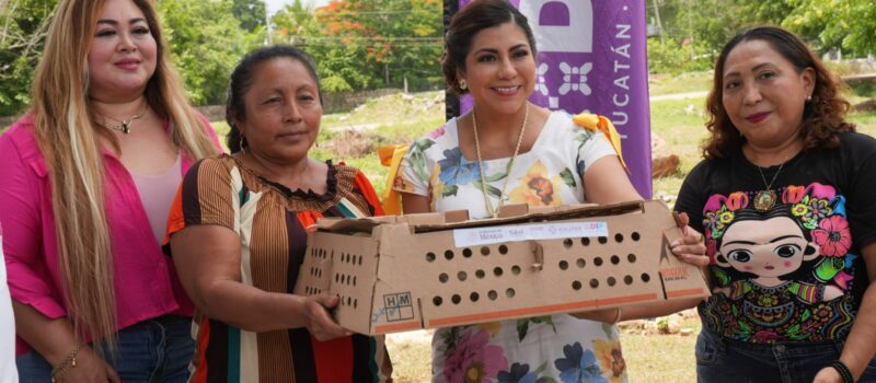 SEGURIDAD ALIMENTARIA CON PROYECTOS PRODUCTIVOS