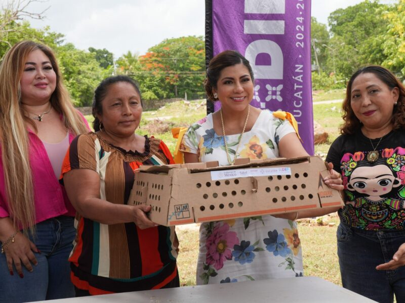 SEGURIDAD ALIMENTARIA CON PROYECTOS PRODUCTIVOS