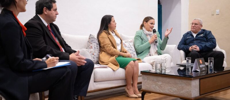 ALCALDESA DE MÉRIDA VICEPRESIDENTA DEL CIDEU