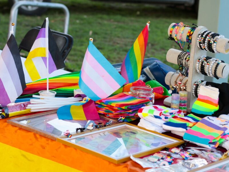 PADRÓN ESTATAL DE PERSONAS EMPRENDEDORAS LGBTI+