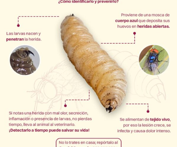REPORTA CUALQUIER SOSPECHA PARA PREVENIR INFECCIONES