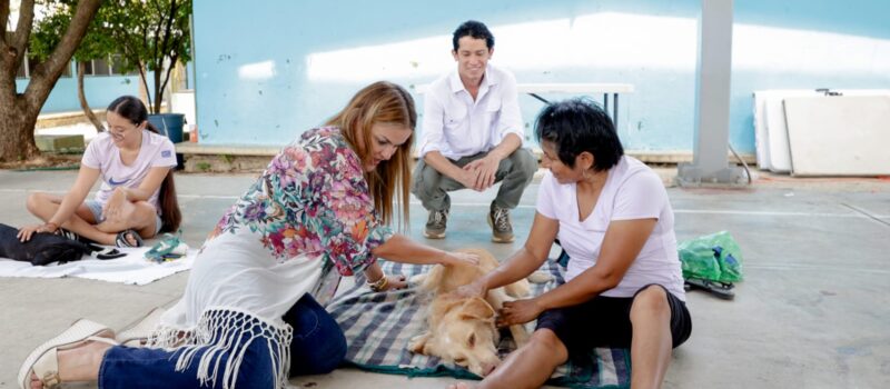 NUEVO REGLAMENTO PARA PROTECCIÓN Y BIENESTAR DE LA FAUNA