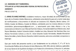 ÁLVAREZ MAYNES PROMUEVE DENUNCIA POPULAR