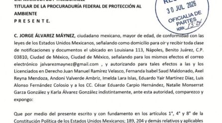 ÁLVAREZ MAYNES PROMUEVE DENUNCIA POPULAR