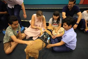 CECI FORTALECE ATENCIÓN AL AUTISMO