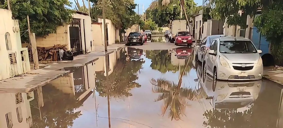 EN BASE A LAS NECESIDADES DE CADA ZONA