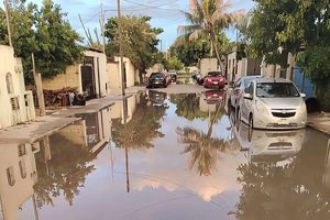 EN BASE A LAS NECESIDADES DE CADA ZONA