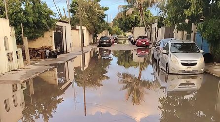 EN BASE A LAS NECESIDADES DE CADA ZONA