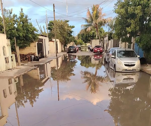 EN BASE A LAS NECESIDADES DE CADA ZONA