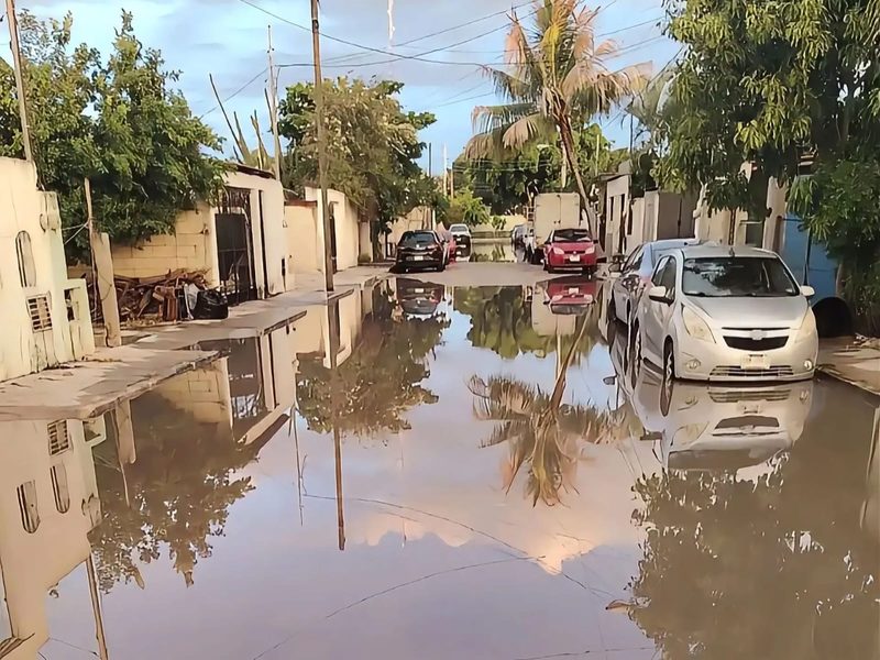 EN BASE A LAS NECESIDADES DE CADA ZONA