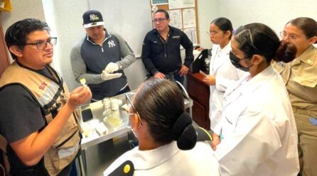 PREVENCIÓN Y VIGILANCIA EPIDEMIOLÓGICA
