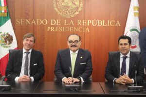 QUEREMOS  ATERRIZAR ESTE PROYECTO EN YUCATÁN: JCRM