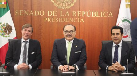 QUEREMOS  ATERRIZAR ESTE PROYECTO EN YUCATÁN: JCRM